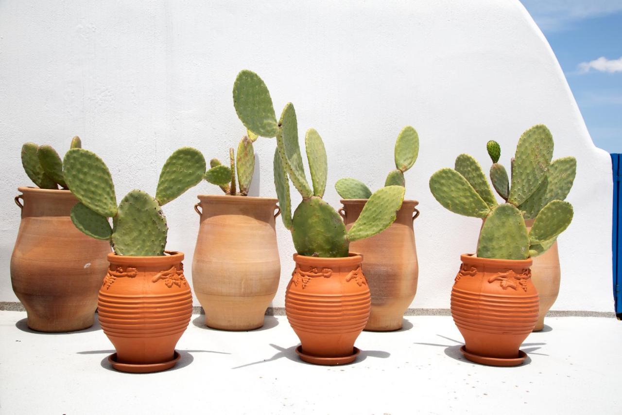 Amphora Villas Santorini Akrotiri Akrotírion エクステリア 写真